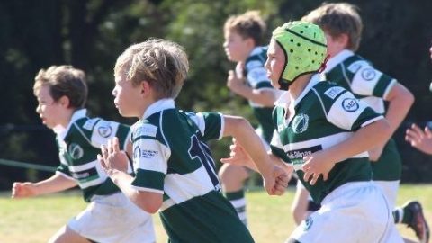 Forest Rugby | The Forest Rugby Club